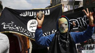 Propaganda per l'Isis, 16enne arrestato per terrorismo