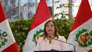 Tribunal Constitucional do Peru blinda presidente Boluarte de investigações