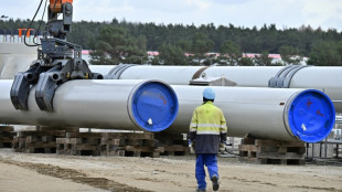 Nordstream-Inbetriebnahme: Breite Kritik an Vorsto&szlig; von CDU-Politiker Barei&szlig;
