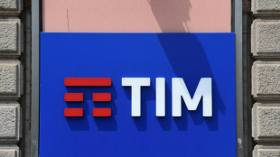 Beteiligungsgesellschaft KKR bietet f&uuml;r Telefonnetz in Italien 