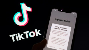 La start-up de IA Perplexity confirma su inter&eacute;s en comprar TikTok