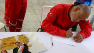 El chavismo prepara el env&iacute;o de cartas de apoyo a Maduro en EEUU