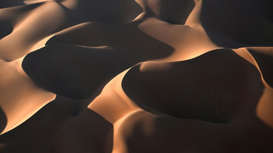 Muere el piloto espa&ntilde;ol Carles Falc&oacute;n tras su grave accidente en el Dakar