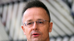 Hungary presses Russia not to hike energy prices amid Iran turmoil