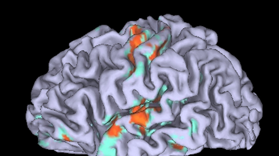 Cervello, l'immaginazione &egrave; pi&ugrave; complessa del semplice 'replay' dei sensi