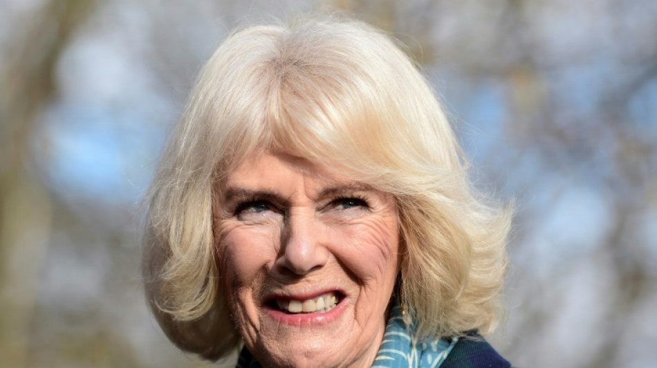 Camilla, de deuxi&egrave;me &eacute;pouse mal aim&eacute;e &agrave; future reine