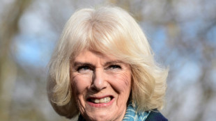 Camilla, de deuxi&egrave;me &eacute;pouse mal aim&eacute;e &agrave; future reine