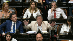 C&acirc;mara dos Deputados da Argentina aprova poderes delegados para Milei