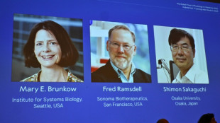 Medizin-Nobelpreis für drei Immunforscher aus den USA und Japan