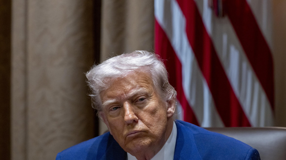 Trump, con la nostra politica sui dazi stiamo andando bene