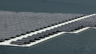 Les &eacute;nergies renouvelables ralentissent, rendant difficile l'objectif de tripler les capacit&eacute;s