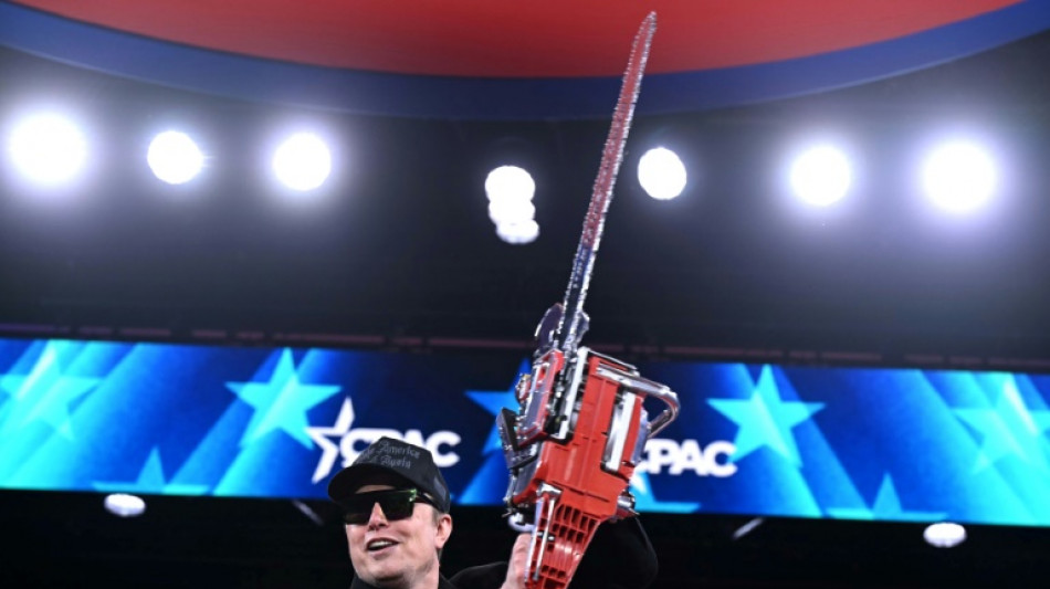 Moving fast and breaking everything: Musk's rampage through US govt