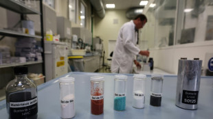 M&eacute;taux critiques: le monde s'organise pour diversifier ses approvisionnements