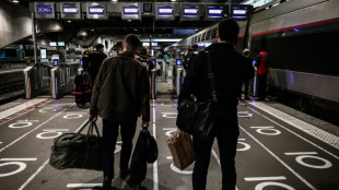 &iquest;Su gato est&aacute; debajo del tren? Francia da 20 minutos para recuperarlo