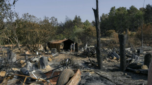 'Challenging day' for firefighters battling huge blaze in France