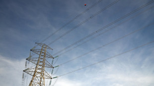 Espagne: "de nombreux jours" pour conna&icirc;tre les causes de la m&eacute;ga-coupure, avertit la ministre de l'Environnement