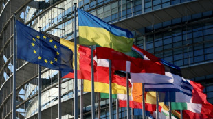 Agriculture: les eurod&eacute;put&eacute;s examinent en urgence le d&eacute;tricotage de la PAC