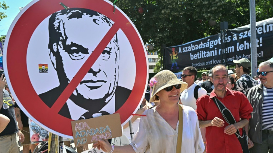 Hungary's hard-pressed LGBTQ people say Orban exit is only half battle