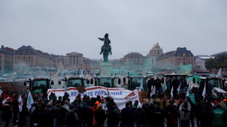 Devant le ch&acirc;teau de Versailles, une centaine d'agriculteurs alertent contre le Mercosur