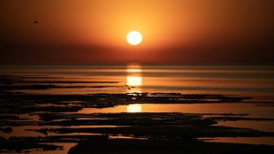 Climat: le d&eacute;passement de l'objectif de 1,5 &deg;C est "in&eacute;vitable", selon le chef de l'ONU