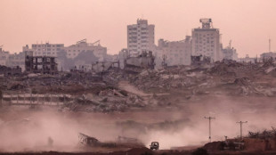 UN expert says firms 'profiting' from 'genocide' of Palestinians