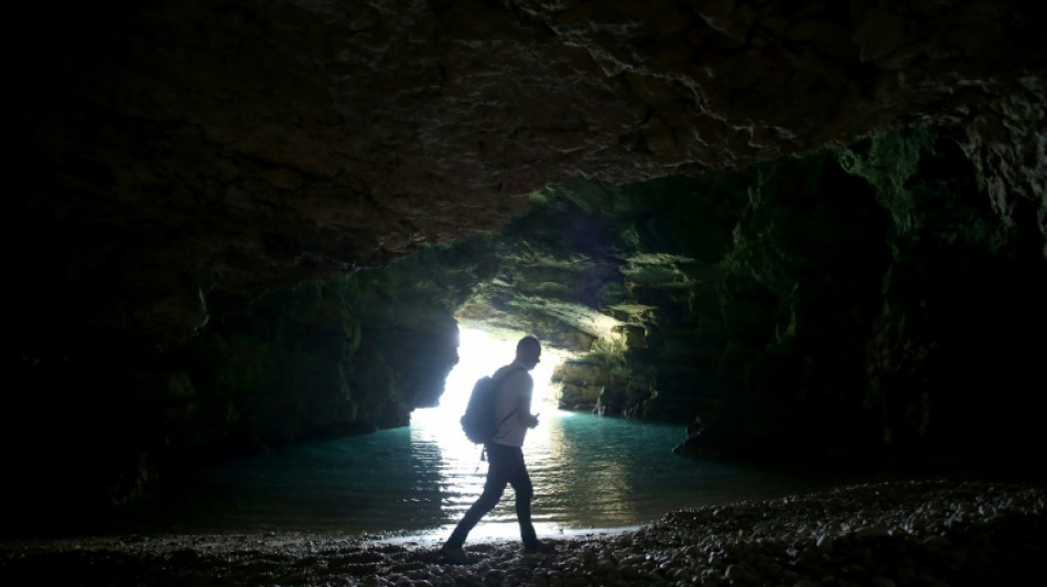Expertos albaneses en busca de la foca monje del Mediterr&aacute;neo