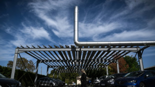 L'Assembl&eacute;e vote l'obligation d'installer des panneaux solaires dans les parkings