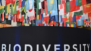 Derni&egrave;res heures &agrave; Rome pour un accord financier sur la sauvegarde de la nature