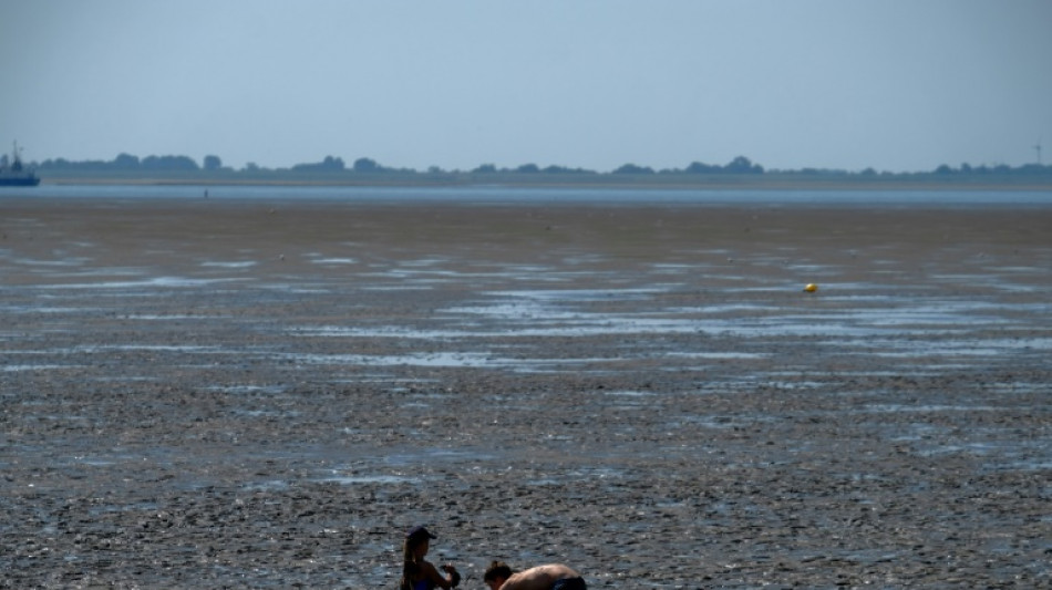 Seenotretter holen 25 Wanderer aus Watt vor nordfriesischer Insel Amrum 