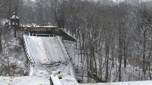 Br&uuml;cke in Pittsburgh st&uuml;rzt kurz vor Biden-Rede zu Infrastrukturpaket ein