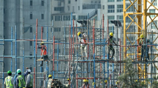 Les grands projets sid&eacute;rurgiques de l'Inde menacent les objectifs climatiques mondiaux