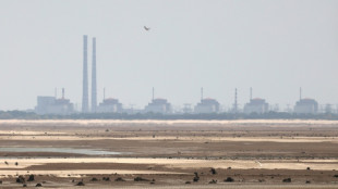El OIEA advierte sobre un aumento de los cortes de energ&iacute;a en una planta nuclear en Ucrania