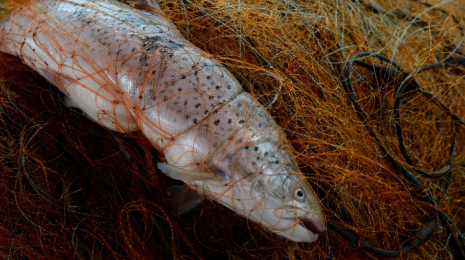 EU-Minister verhandeln &uuml;ber Fischereiquoten in der Ostsee