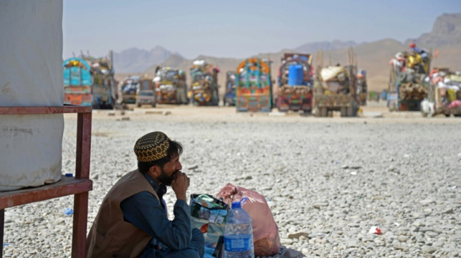 M&aacute;s de 200.000 afganos abandonaron Pakist&aacute;n desde abril