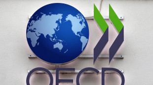 Ocse, la crescita del reddito rallenta a +0,2% nel primo trimestre, in Italia +0,8%