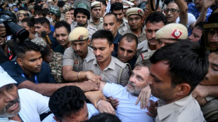 India opposition leader released after protest detention