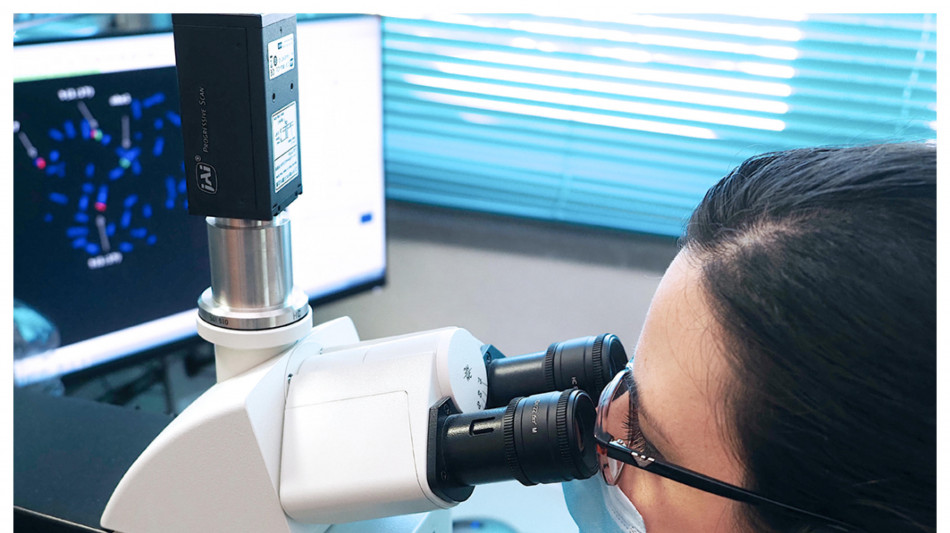 Il sistema immunitario ha un suo orologio,è più attivo di giorno