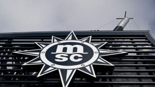 MSC Croisi&egrave;res commande deux navires au chantier naval fran&ccedil;ais de Saint-Nazaire pour 3,5 mds d'euros