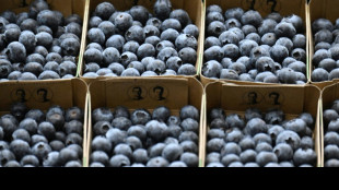 R&uuml;ckgang der Inflation d&uuml;rfte sich laut Ifo hinziehen