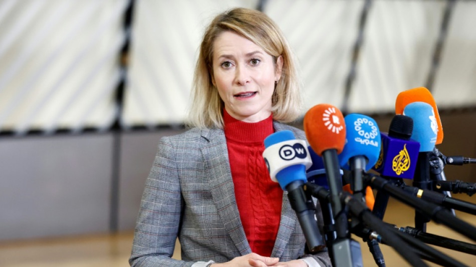 EU designates Iran Guards as 'terrorist organisation'