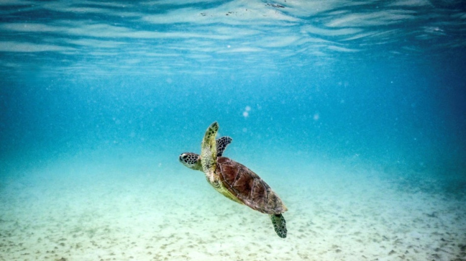 Environnement: sept des neuf "limites plan&eacute;taires" sont franchies, alertent les chercheurs