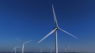 Le rinnovabili avanzano ma occorre accelerare verso l'obiettivo del 2030
