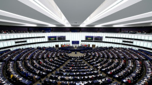 Parlamento Europeu aprova medidas para limitar impacto do acordo UE-Mercosul