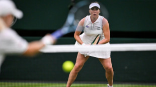 Wimbledon se&ntilde;ala un "error humano" en el fallo del arbitraje autom&aacute;tico