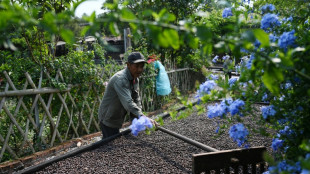 Capital chinesa do chá passa a produzir café diante da preferência dos jovens