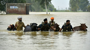 Las inundaciones en el noroeste de India dejan 29 muertos