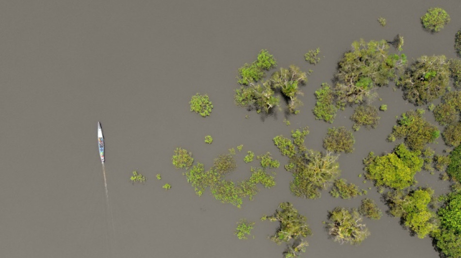 Activit&eacute;s humaines et changement climatique menacent les zones humides les mieux pr&eacute;serv&eacute;es d'&Eacute;quateur