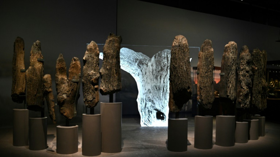 Nacimiento y declive de Stonehenge en una exposici&oacute;n del Museo Brit&aacute;nico en Londres