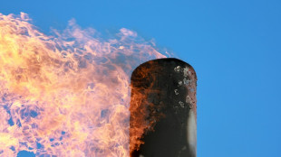 World energy methane emissions near record high in 2024: IEA