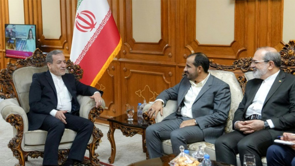 El canciller iran&iacute; se re&uacute;ne con un alto cargo de los rebeldes hut&iacute;es de Yemen en Om&aacute;n